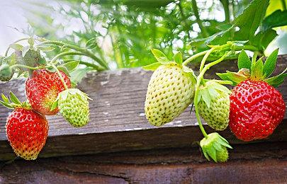 登下一代Xbox？《漫威刀锋战士》最早或于2027年发售